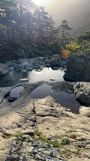 Het Vizzavona-bos en zijn weelderige Engelse waterval - La Foce - 32