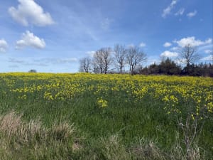Prendre racine dans le Quercy Blanc - Porte-du-Quercy - 12