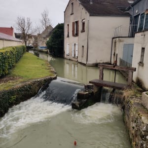 Balade tranquille à Provins - Provins - 4