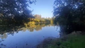 Parc des quinze sols - Beauzelle - 28