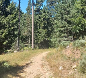 Belle balade au refuge de Fornels - Bolquère - 4
