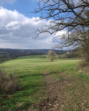 Le Fraysse - Lissac-et-Mouret - 3