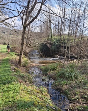 Le Fraysse - Lissac-et-Mouret - 4