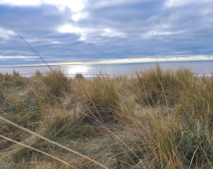 Plages du Treuil et de Vertbois puis forêt - Dolus-d'Oléron - 12