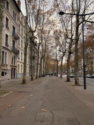 La Croix Rousse et son point de vue et son caillou - Lyon - 7