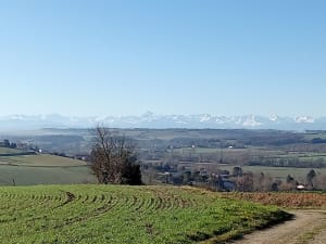 Boucle de Pesquies à Saint-Sulpice-sur-Lèze - Saint-Sulpice-sur-Lèze - 5
