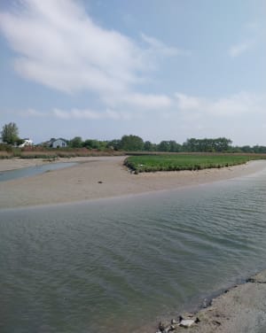 Graye-sur-Mer entre champs et plages - Elodie - 10