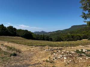 De Malaucène au Barroux - Malaucène - 6