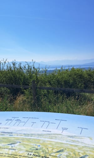 Petit tour du Mont Mourex - Grilly - 3