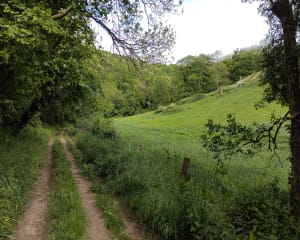 La Pommeraye et contes de fées dans la Suisse normande - La Pommeraye - 6