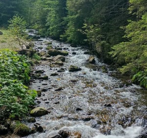Czarny Staw - Zakopane - 3
