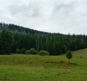Czarny Staw - Zakopane - 4