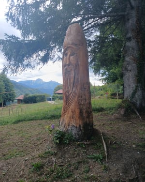Forêt du Fayet - Saint-Paul-en-Chablais - 4