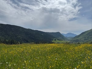 Boucle du Sappey-en-Chartreuse au pied des Emeindras - Le Sappey-en-Chartreuse - 2