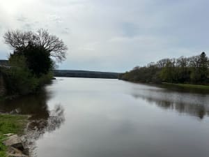 Autour de l'étang de l'abbaye à Paimpont - Paimpont - 17