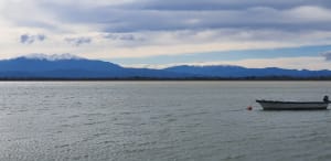 Balade entre l'étang de Canet-Saint-Nazaire et la mer - Canet-en-Roussillon - 5