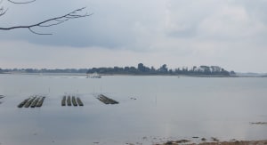 Promenade autour d'Arradon. - Arradon - 5