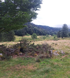 Campan, Payolle-meer en Artigou-stroom - Campan - 24