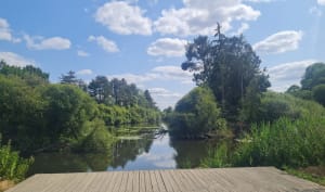 Moulin de Champcors au bois de Cicé à Bruz - Chavagne - 18