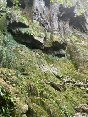 Parenthèse secrète à la Cascade de la Tuffière - Emma - 5