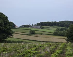 Du lac des Settons au Saut de Gouloux - Montsauche-les-Settons - 5