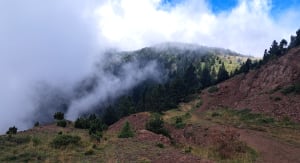 Le Puig de l'Estella - Corsavy - 45