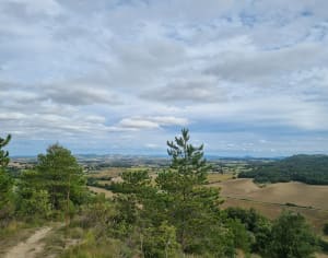 Balade à pied dans les collines de Villasavary - Villasavary - 8