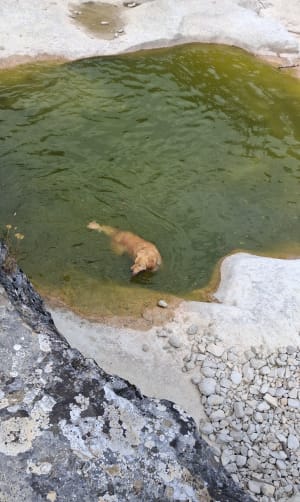 Lagorce, et le Salastre, près de Vallon Pont d'Arc - Lagorce - 4