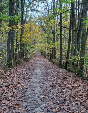 Arpenty - Bruyère le Châtel - Fontenay-les-Briis - Bruyères-le-Châtel - 6