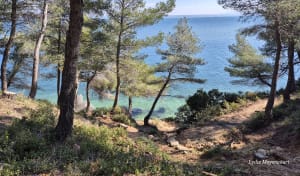 Déconnexion totale autour du parc de Figuerolles - Martigues - 11