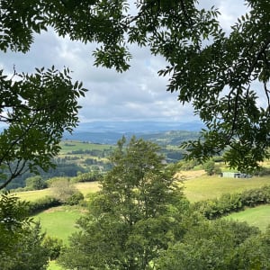Balade bucolique sur le Plateau du Fraisse - Laussonne - 5