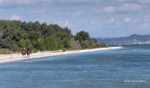 Déconnexion totale autour du parc de Figuerolles - Martigues - 13