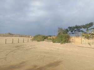 Le petit tour du Cap Ferret - Lège-Cap-Ferret - 7
