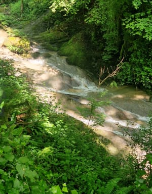 St Béron-La Bridoire : boucle des Copettes - Saint-Béron - 18