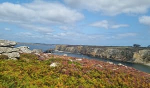 Balade entre la pointe du Toulinguet et la pointe de Pen Hir - Camaret-sur-Mer - 9
