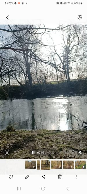 Sortie à la pointe de Courpain - Saint-Pryvé-Saint-Mesmin - 5