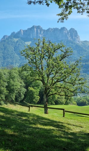Roc de Chère-lus en betoverende landschappen - Talloires-Montmin - 66