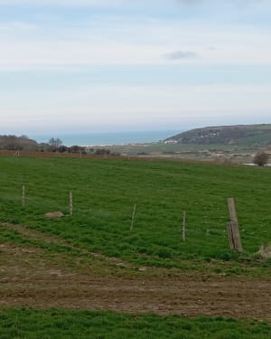 Randonnée au calme entre Veulettes et Malleville - Veulettes-sur-Mer - 18