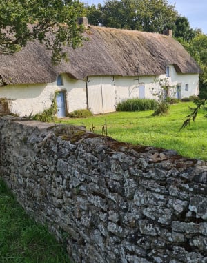 Boucle St. André, Asserac, Tréhé, Chaussée Neuve. - Saint-André-des-Eaux - 7
