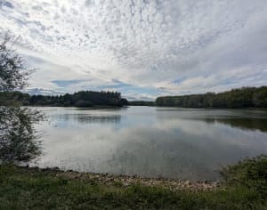 Les berges d'Ayron et Etang de Fleix - Ayron - 8