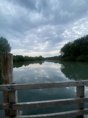 La promenade du Marais de Fretin, par le Bois des Enclos - Fretin - 27