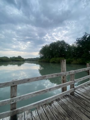 La promenade du Marais de Fretin, par le Bois des Enclos - Fretin - 28