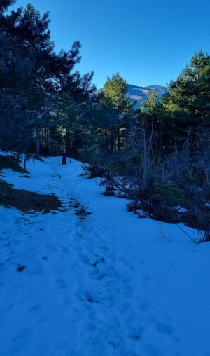 Boucle entre Prades et Camurac - Prades - 9