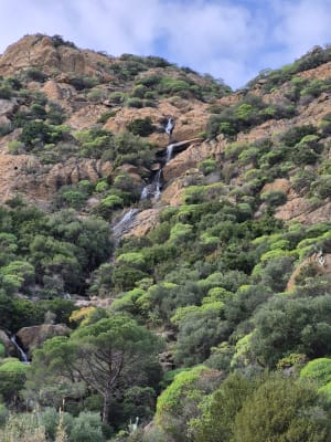 Balade au Lavandou et en montagne avec un très beau panorama - Le Lavandou - 22