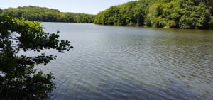 Lac de Rouffiac-en-Périgord et plongée en eau douce - Christian - 2