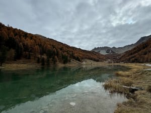 Balade entre Lac de l'Orceyrette et réserve biologique - Villar-Saint-Pancrace - 10