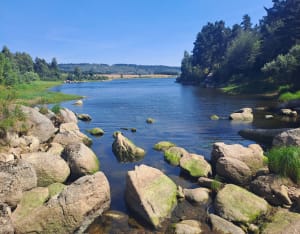 Randonnée Tour du Lac complet - Langogne - 7