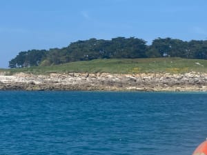 Grand tour de l'île de Batz et beauté de ses plages - Île de Batz - 24