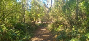 Le chemin des l’Abondin - Vailly-sur-Aisne - 5