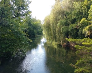Sur les chemins échiréens, guidés par la Sèvre niortaise - Echiré - 2
